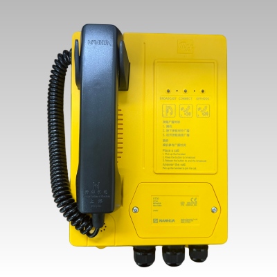 NanHua DT301 Indoor Telephone