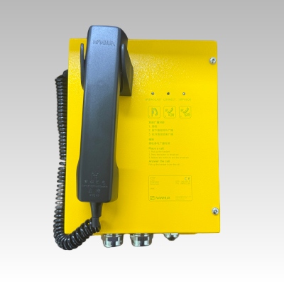 NanHua DT303 Driver Telephone