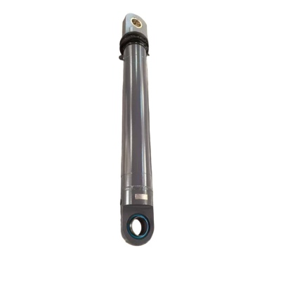 ZPMC 0691813-220/160-D Snag Cylinder